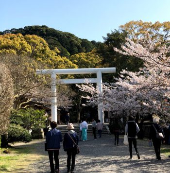 千葉のパワースポット安房神社は桜の名所 金運がよくなる アラフィフ女子の Happy Milkyway